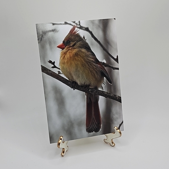 4x6 Cardinal‎ Art Painting Print - Picture 4 of 4